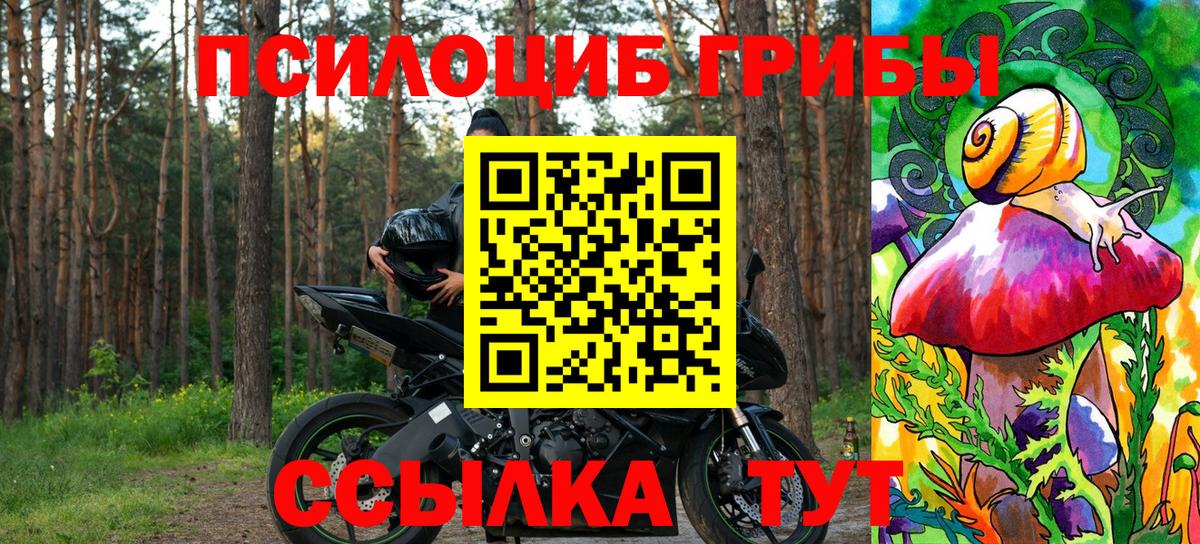 Великие Луки  Псилоцибиновые грибы Magic Shrooms  Вход с VPN 